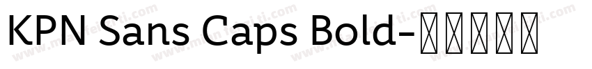 KPN Sans Caps Bold字体转换
